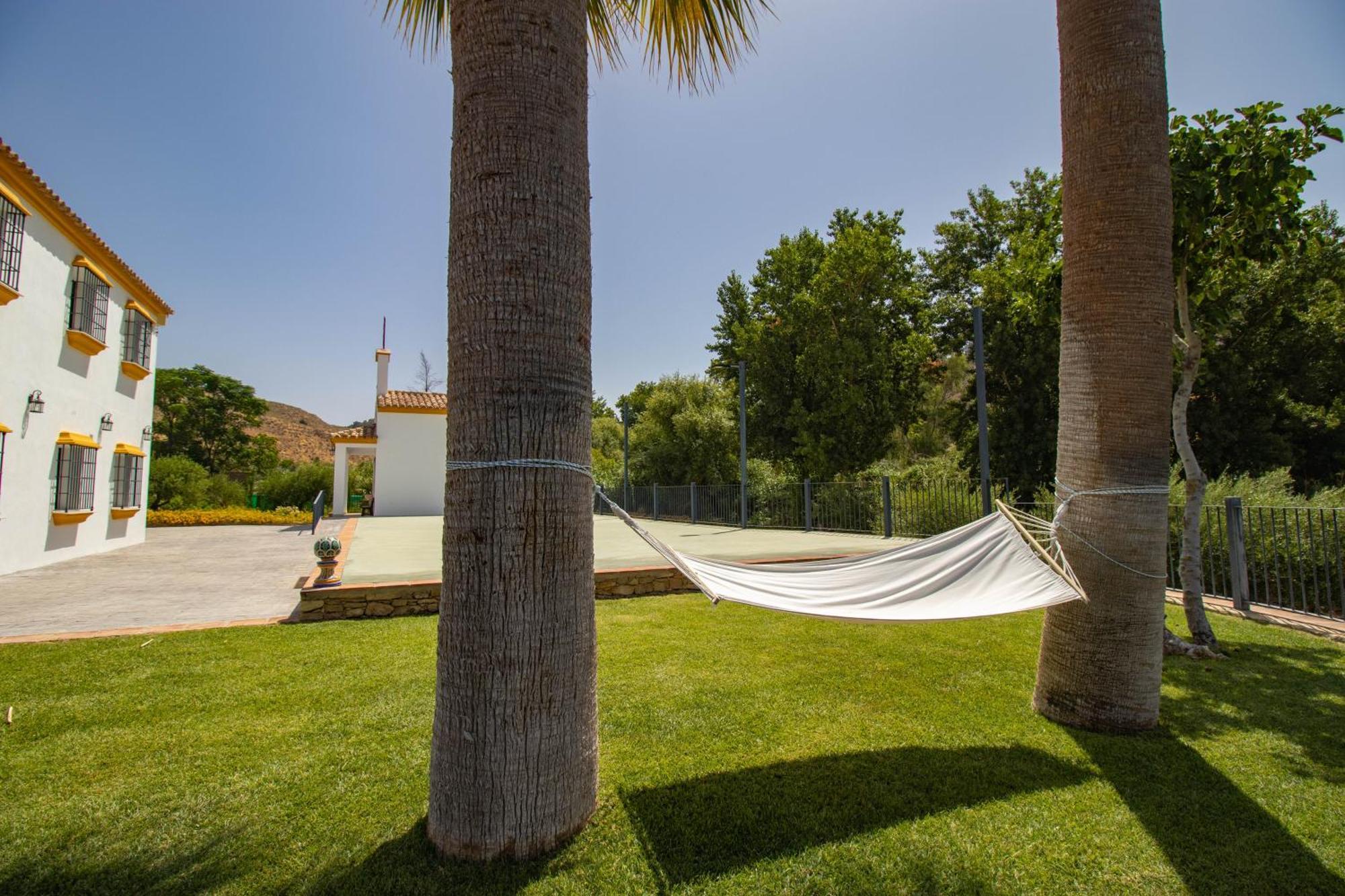 Cortijo San Antonio De Trejo Villa Setenil De Las Bodegas Eksteriør billede