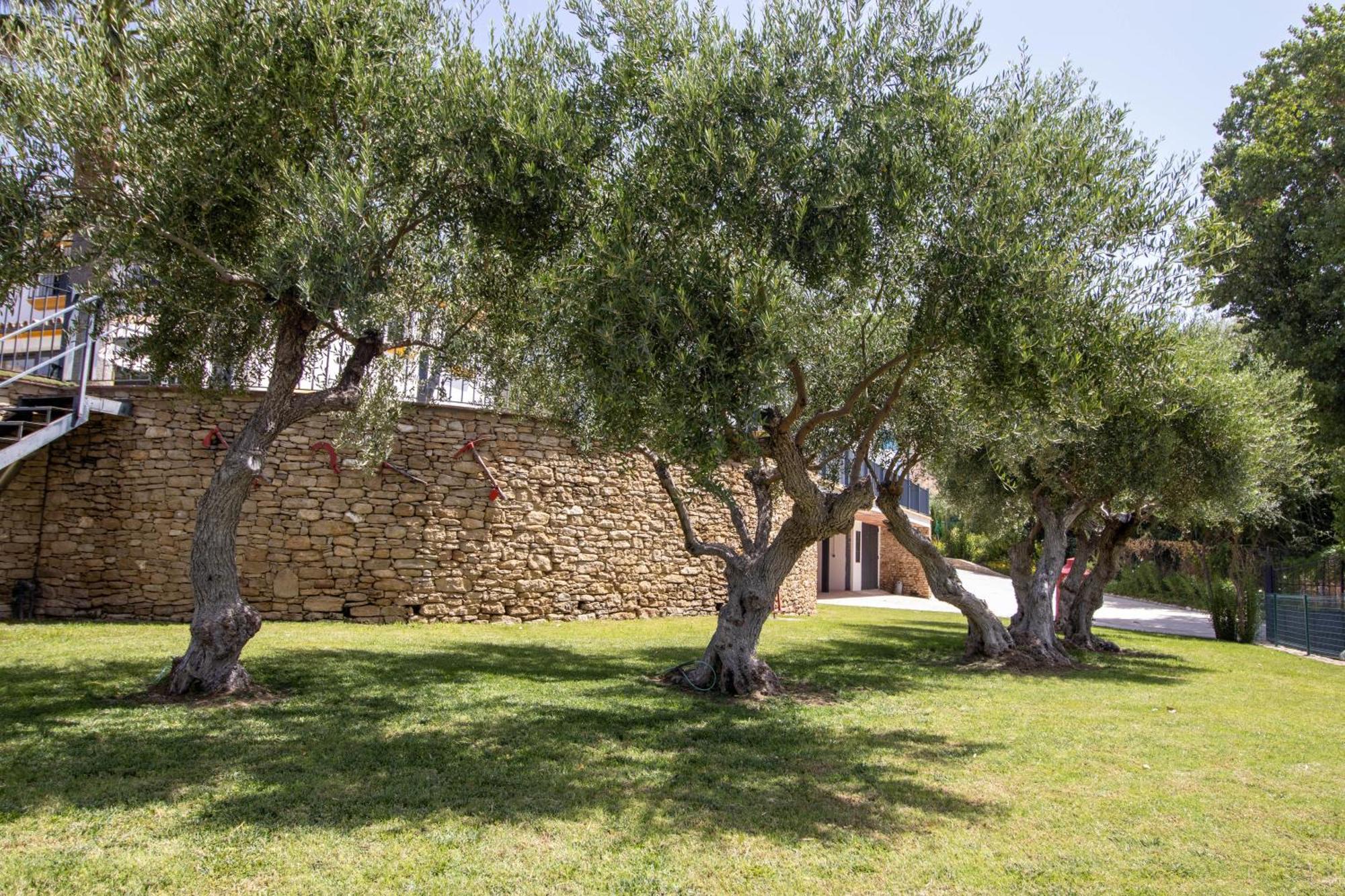Cortijo San Antonio De Trejo Villa Setenil De Las Bodegas Eksteriør billede